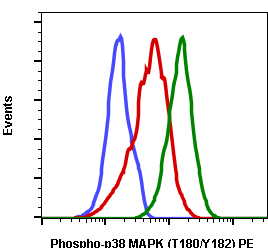 Phospho-p38 MAPK (Thr180/Tyr182) (Clone: E3) rabbit mAb PE conjugate