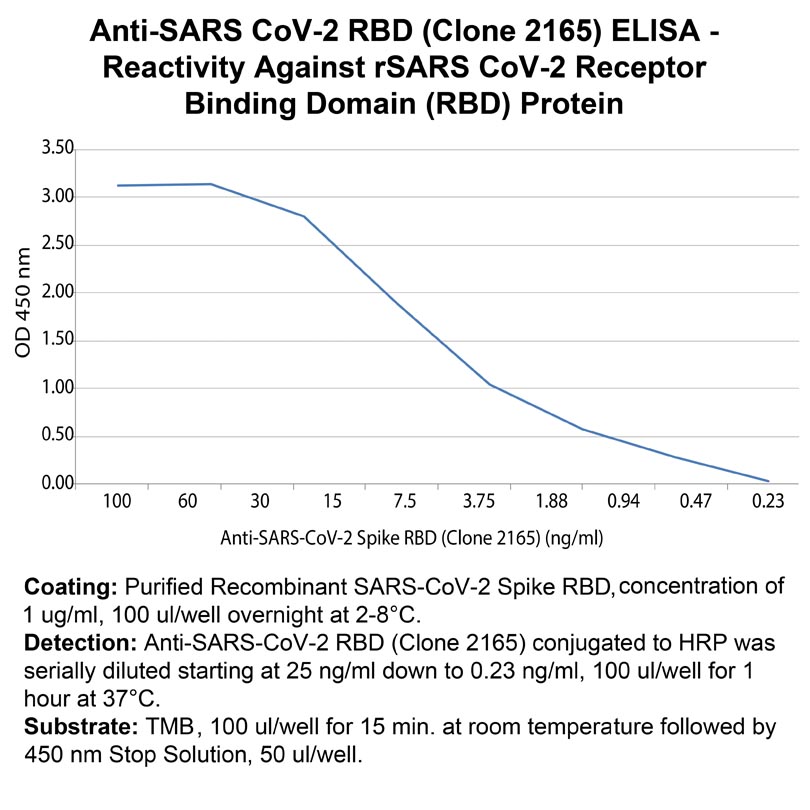 Anti-SARS-CoV Envelope (CT) Anti-SARS-CoV Envelope (CT)