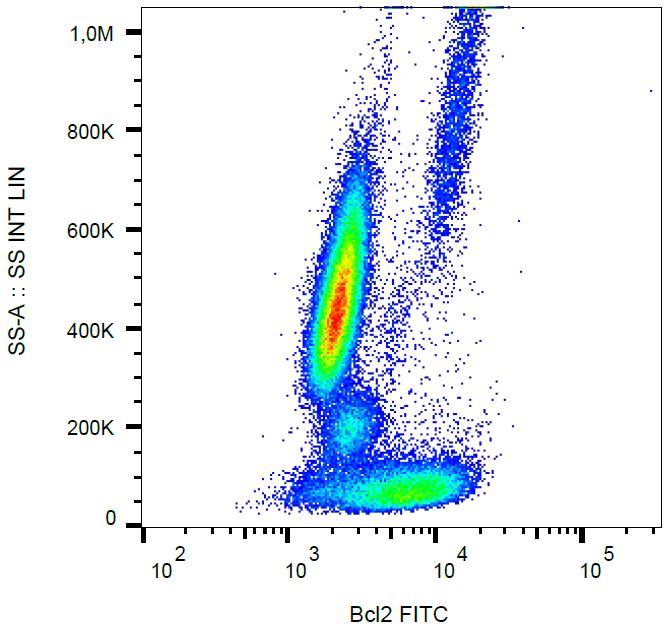 FITC Conjugated, Anti-Bcl2 Monoclonal Antibody (Clone:Bcl-2/100)