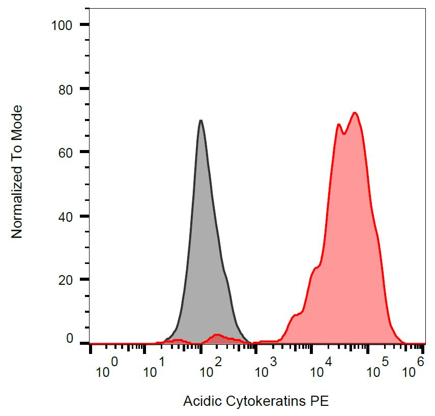 Anti-Acidic Cytokeratins Monoclonal Antibody ||AE1||PE Conjugate