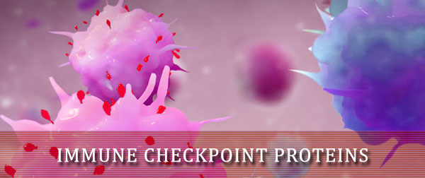 Bio Active Immune Checkpoint Proteins