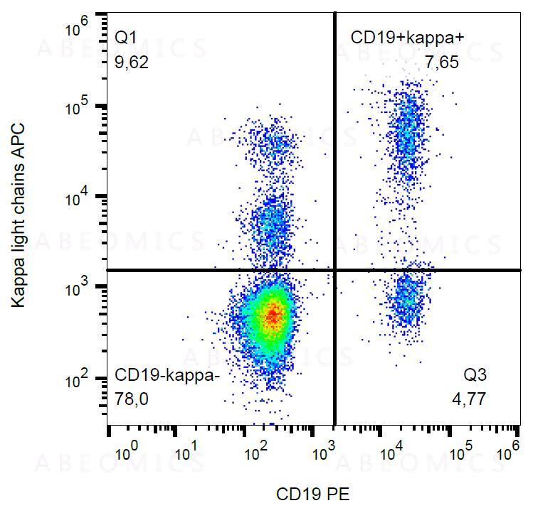 roddel Plasticiteit werk Anti-Kappa light chains Monoclonal Antibody ||TB28-2||APC Conjugate